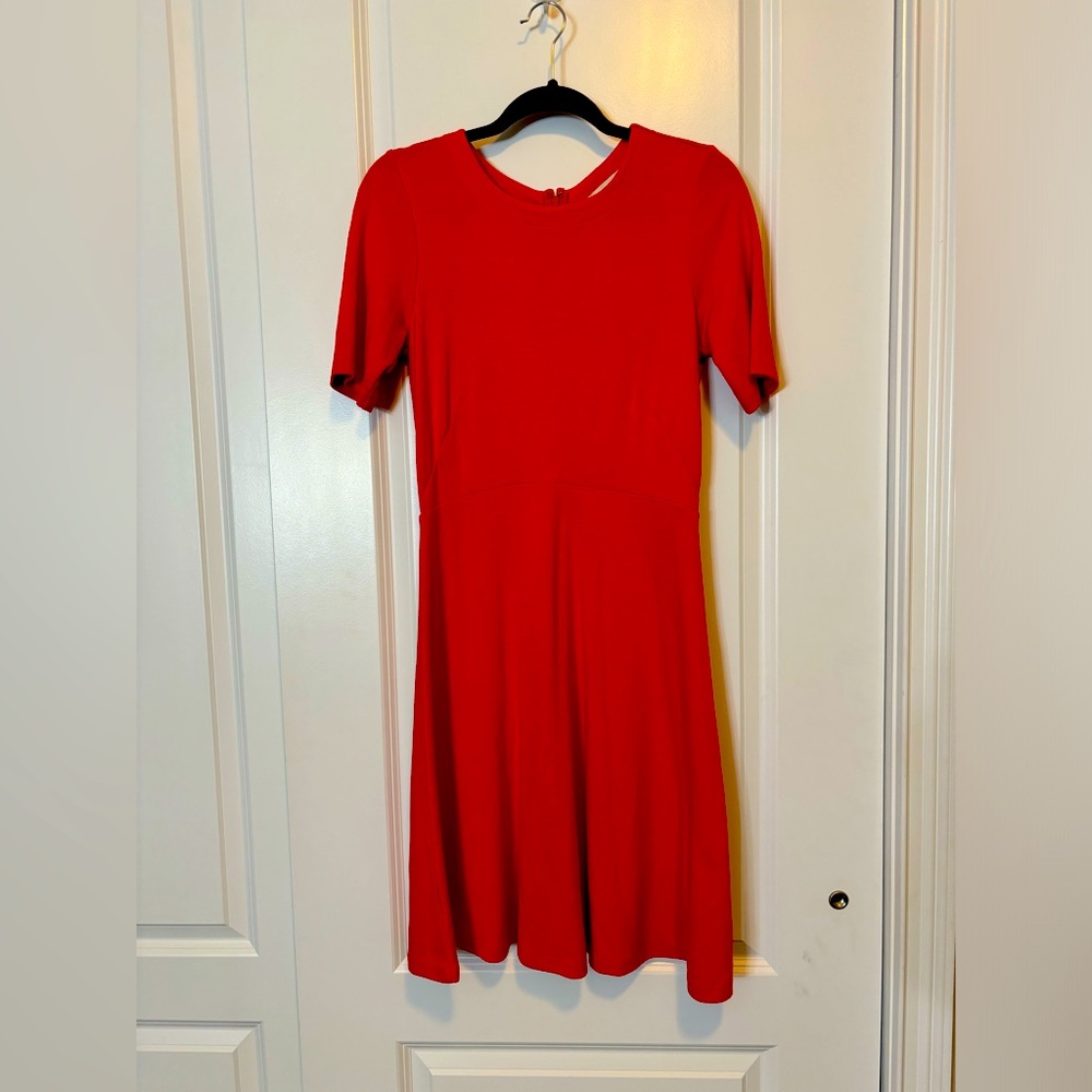 LOFT size 4 Orange Knit Flutter Dress